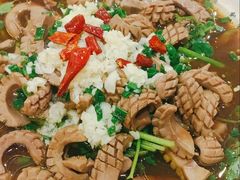 -呼吸森林·生态农庄农家乐私房菜