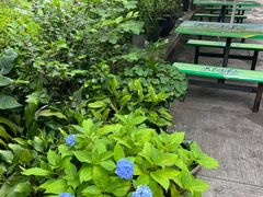 -绿野餐厅(上海动物园店)