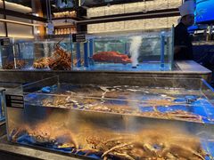 -上和臻品中国菜(花园街店)