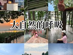 -东湖落雁景区