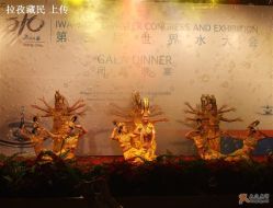 舞蹈千手观音-人民大会堂宴会厅