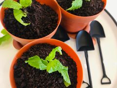 -古洼一锅鲜(国道店)