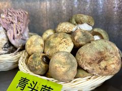 -菌海森林·非遗野生菌火锅(西山区滇池路摩根道店)