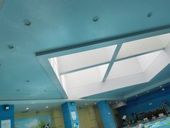 -阳光游泳培训(北苑店)