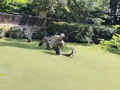 -汇龙潭