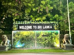 -班达拉奈克国际机场