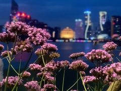 -钱江新城灯光秀