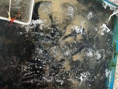-姥家大锅台水库渔家