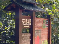 -中国科学院西双版纳热带植物园