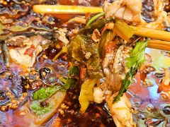 -鸿顺老铁锅美蛙鱼府(解放碑店)