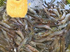 -板桥海鲜广场(文明东店)