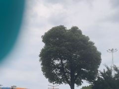 -苏州湾梦幻水世界