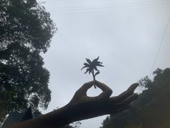 -古龙峡云天玻霸