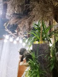-MT·ID 烫发.染发.接发SALON