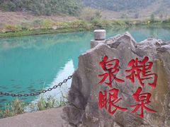 -靖西鹅泉风景区