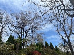 -刘公岛景区