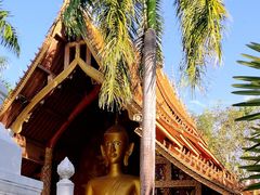 -西双版纳傣族园