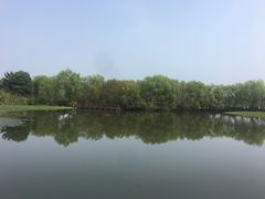 -长兴太湖图影湿地文化园
