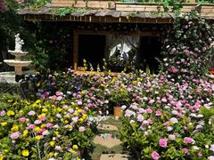 -HERRE·FARM 赫尔露营农场·团建聚会包场