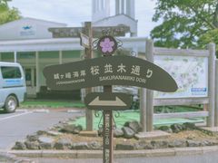 -城崎温泉 外七汤