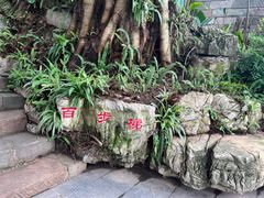 -磁器口古镇
