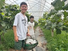 -马陆小张葡萄园农家乐