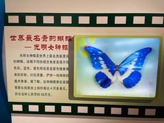 -上海昆虫博物馆