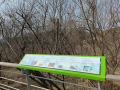 -西湖风景区-江洋畈生态公园