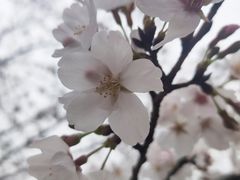 -堤角公园