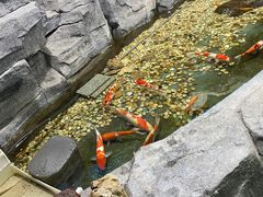 -嘉兴海底世界