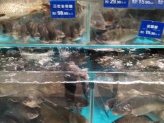 -伊藤洋华堂(温江店)
