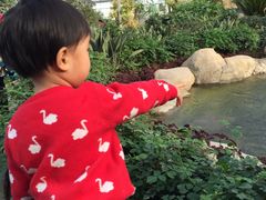 -南宫五洲植物乐园