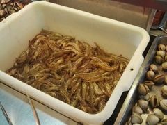 -春华海鲜城(广场西苑店)