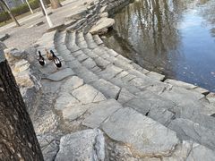 -北京航空航天大学-图书馆