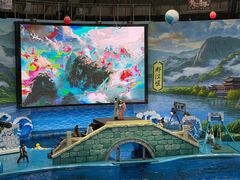-海合安成都极地海洋公园