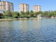 -团结湖公园