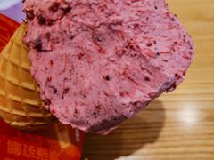 -野人先生现做冰淇淋(北京环宇荟店)