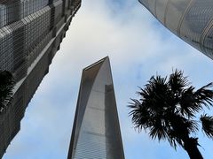 -上海金茂大厦88层观光厅