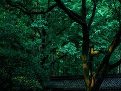 -虎跑公园