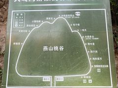 -大岭沟猕猴桃谷风景区