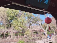 -上海醉白池公园
