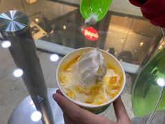 -Salud撒露欧洲冻酸奶(北苑上品店)