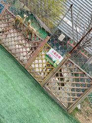 -萌宠亲子动物乐园(槐房万达店)