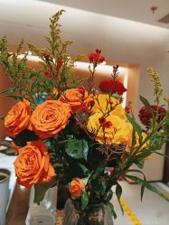 -Oasis Beauty水磨坊科技美肤中心