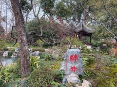 -上海醉白池公园