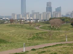 -苏州湾体育公园