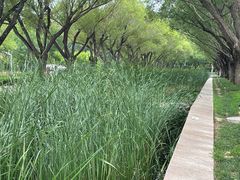 -廊坊文化艺术中心