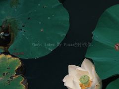-合肥市图书馆