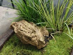 -扫雪煮茶(西村店)