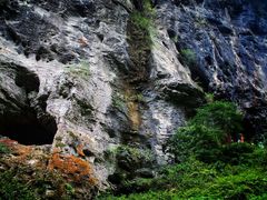 -鹿院坪生态旅游景区